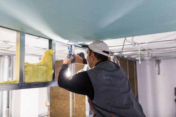 Best Insulation for Specific Applications in Wainaku, HI