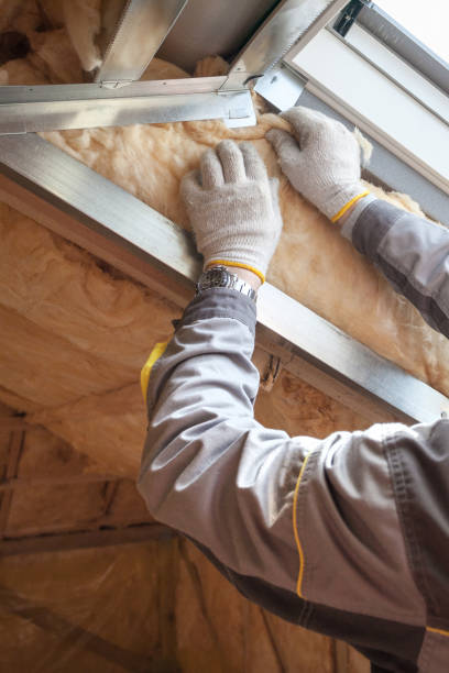 Best Eco-Friendly Insulation in Wainaku, HI