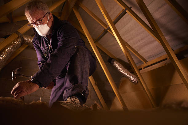 Best Residential Insulation in Wainaku, HI