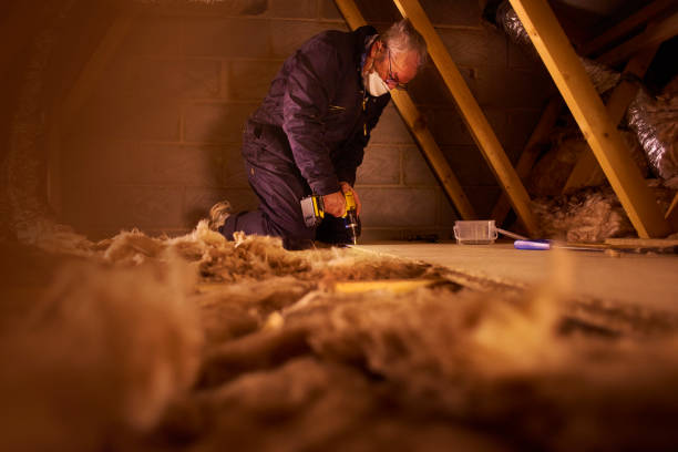 Types of Insulation We Offer in Wainaku, HI