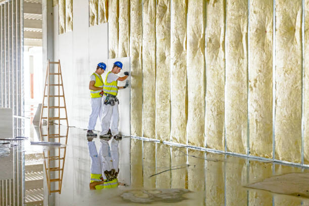 Best Cellulose Insulation in Wainaku, HI